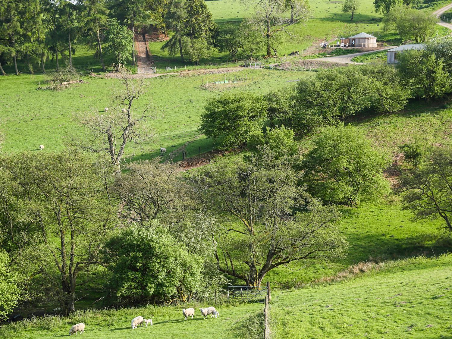 Rolling Hills Newcastle (Shropshire) Exterior foto